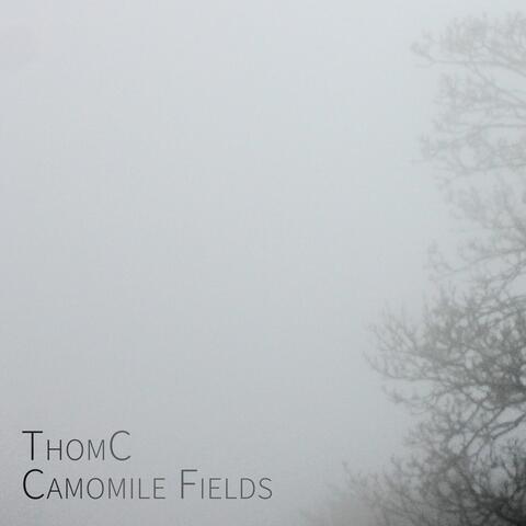 Camomile Fields