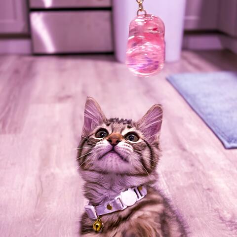 Pink Lemonade