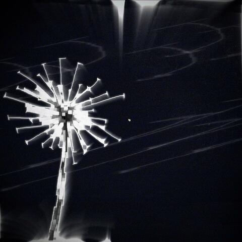 Obstructica