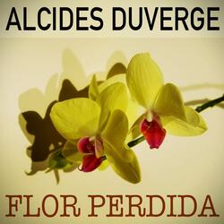 Flor Perdida