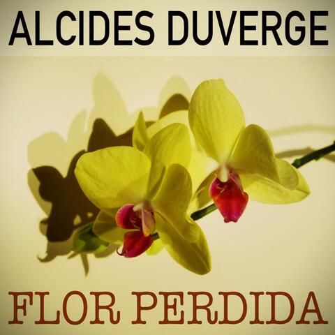 Flor Perdida