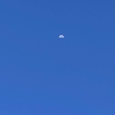 find the moon for me