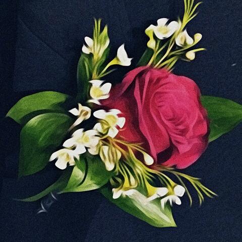 did you love me or not?