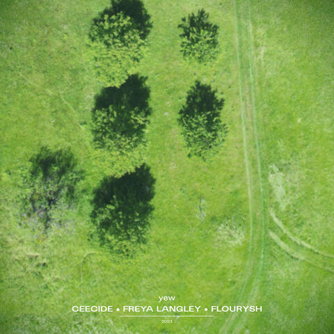 yew (feat. freya langley & FLOURYSH)