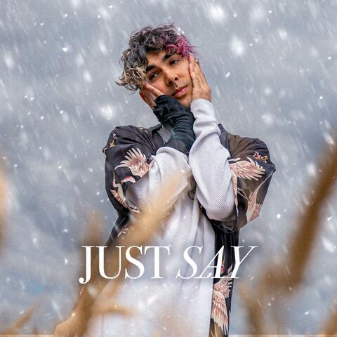 Just Say