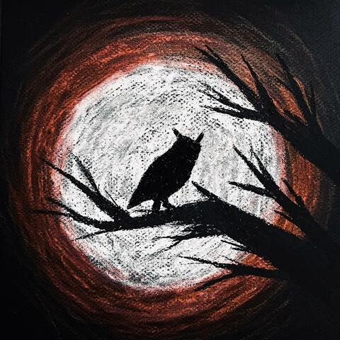 Night of Owls
