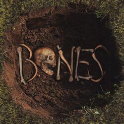 Bones