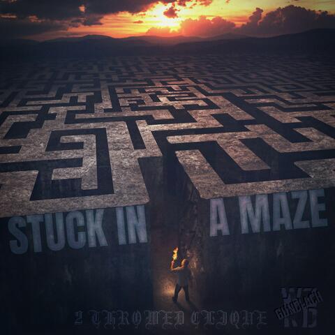 Stuck In A Maze (feat. Pops) [WZRD Gundlach Remix]
