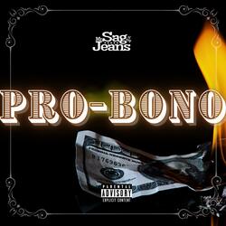 Pro-Bono