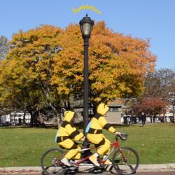 bumblebee (feat. Mezttly Garcia)