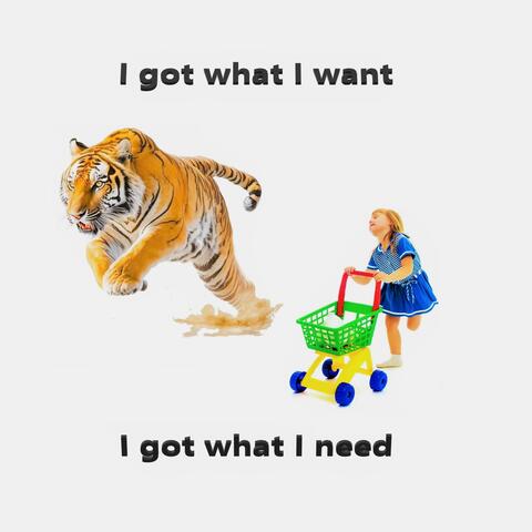 I got what I want I got what I need