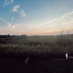 illuminate (Bonus Track)