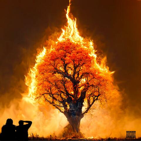 YOUNG FIRE, OLD FLAME