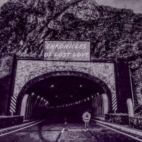 Chronicles Of Lost Love