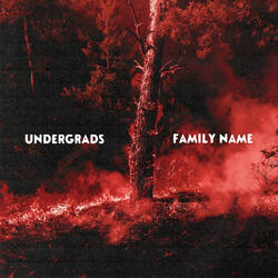 Family Name (feat. Bravelake)