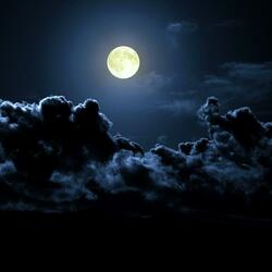 staring at the moon