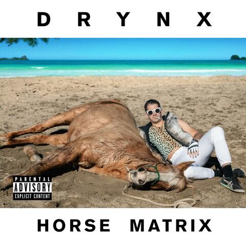 Horse Matrix
