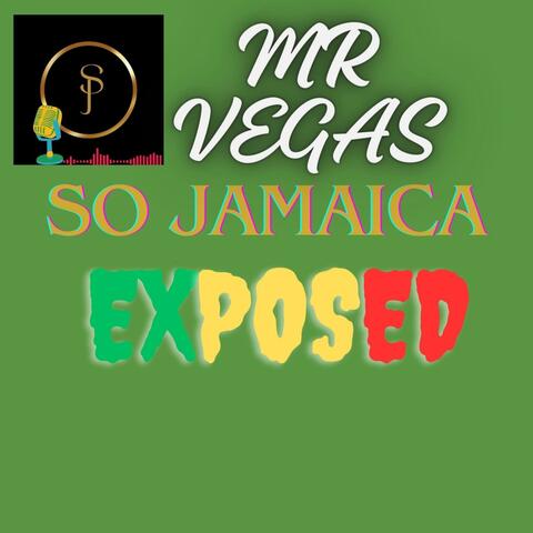 Mr Vegas Speak on Masicka AfroBeat Tour Demarco Attack Fullybad