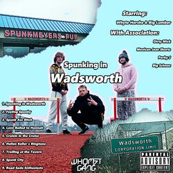 Spunking in Wadsworth
