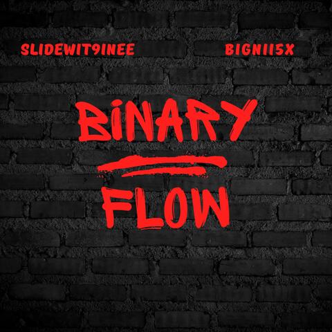 Binary Flow (feat. BigNii5x)
