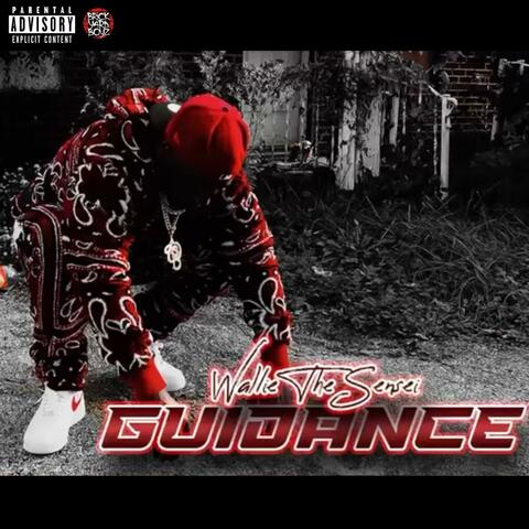 Guidance