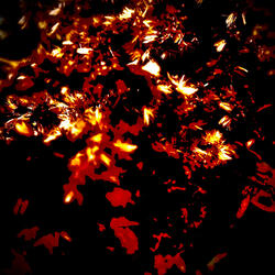 The Yellow Leaf