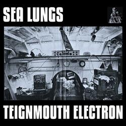 Teignmouth Electron