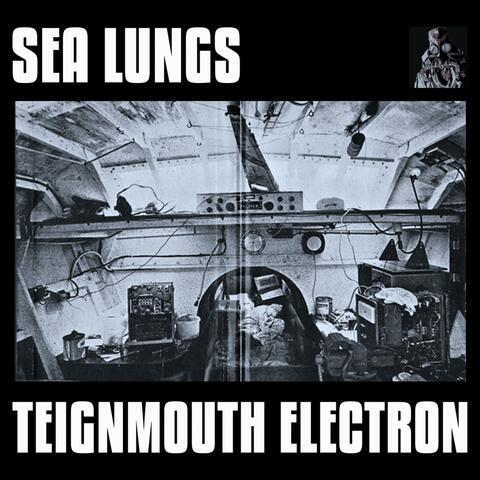 Teignmouth Electron