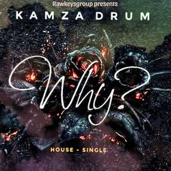Why (feat. Kamza Drum)