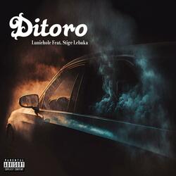 Ditoro (feat. Stige Lebaka)