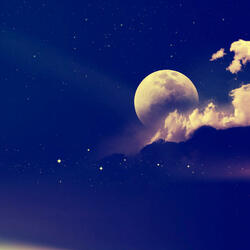 Path Of Dreams