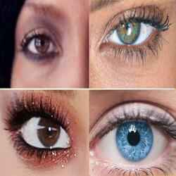 Eyes