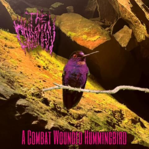 Combat Wounded Hummingbird