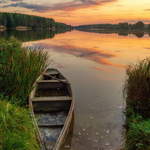 Nature Symphony For Ultimate Relaxation