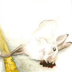 Perpetual Motion Machine