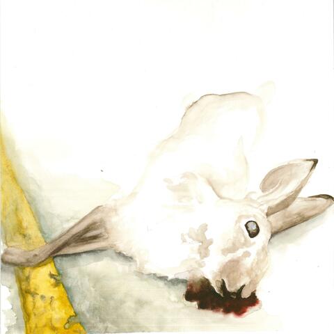 Perpetual Motion Machine