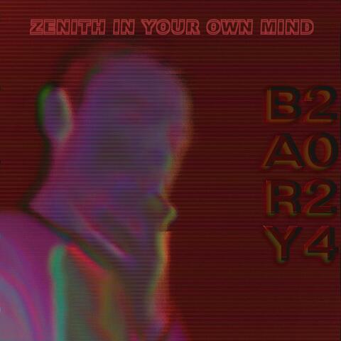 Zenith In Your Own Mind