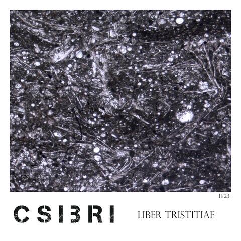Liber tristitiae