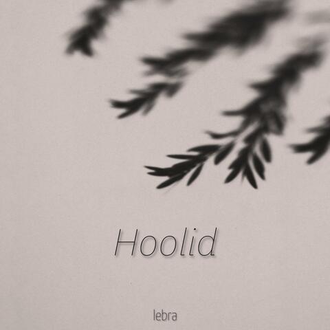 Hoolid