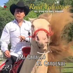 MI CABALLO EL CARDENAL