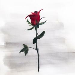 The Rose