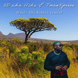 Mdali (feat. Nhlanhla the Guitarist)