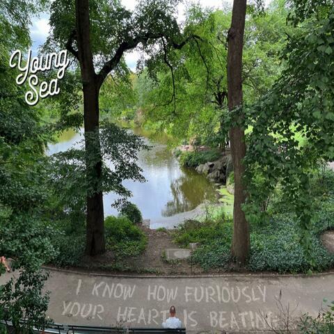 I Know How Furiously Your Heart is Beating