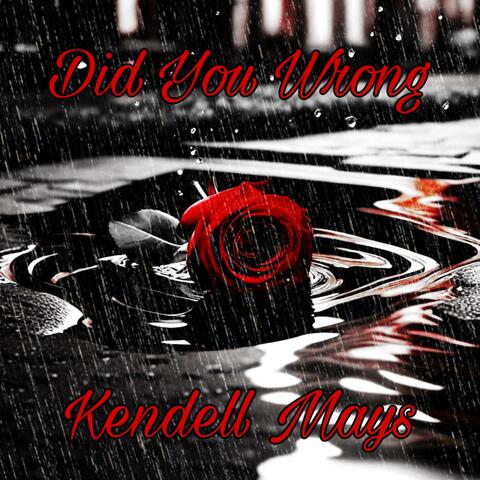 DID YOU WRONG (Radio Edit)