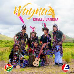Waynas Ckellu Cancha-Cochabambinita