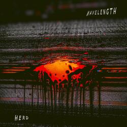 Herd