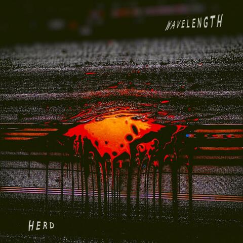 Herd