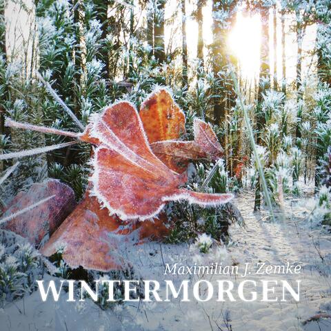 Wintermorgen