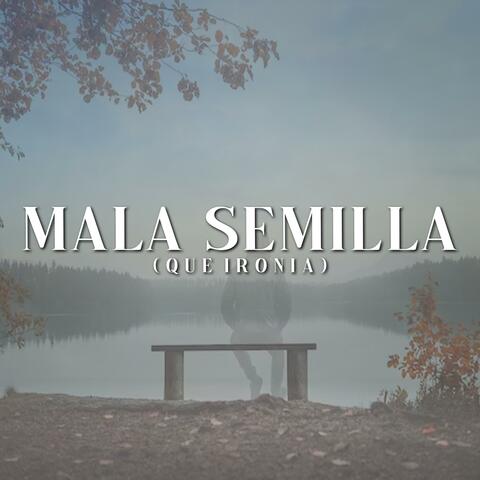 Mala Semilla (Que Ironia)