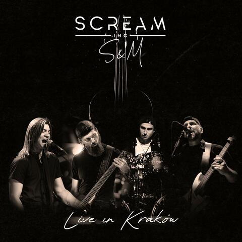 Enter Sandman  (Live)